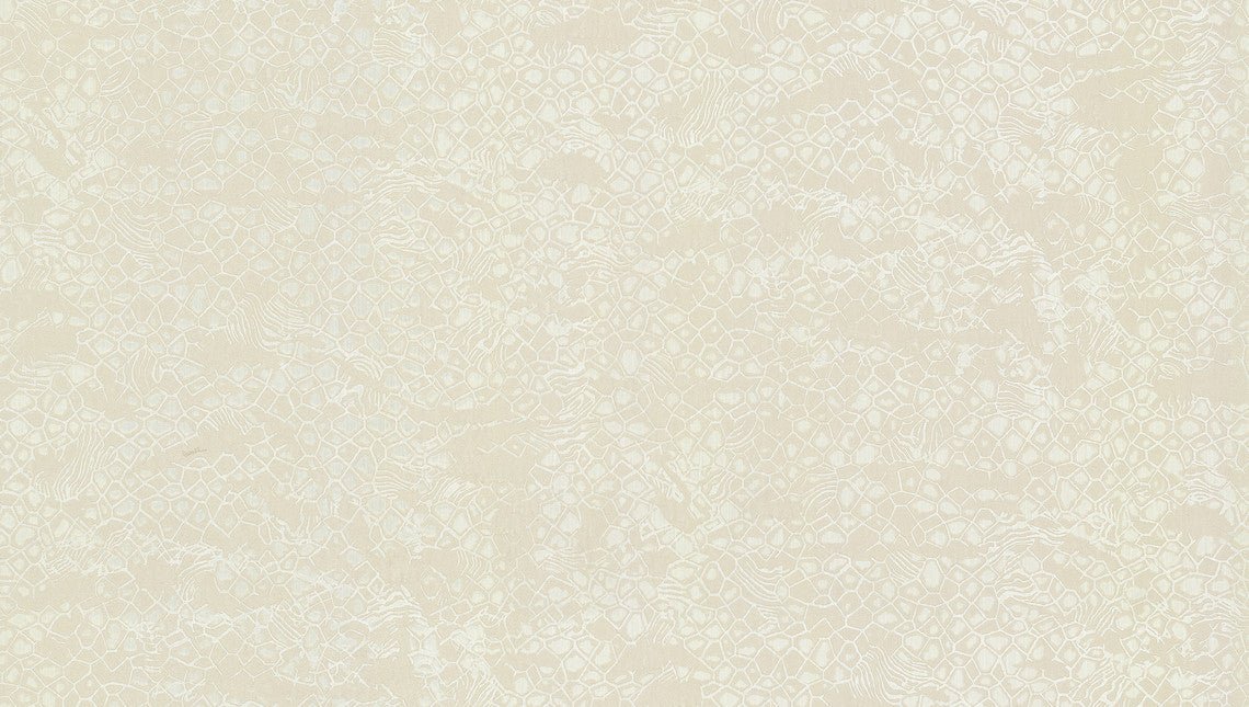 Roberto Cavalli wallpaper collection N.8 - RC19037 - 10 m² roll