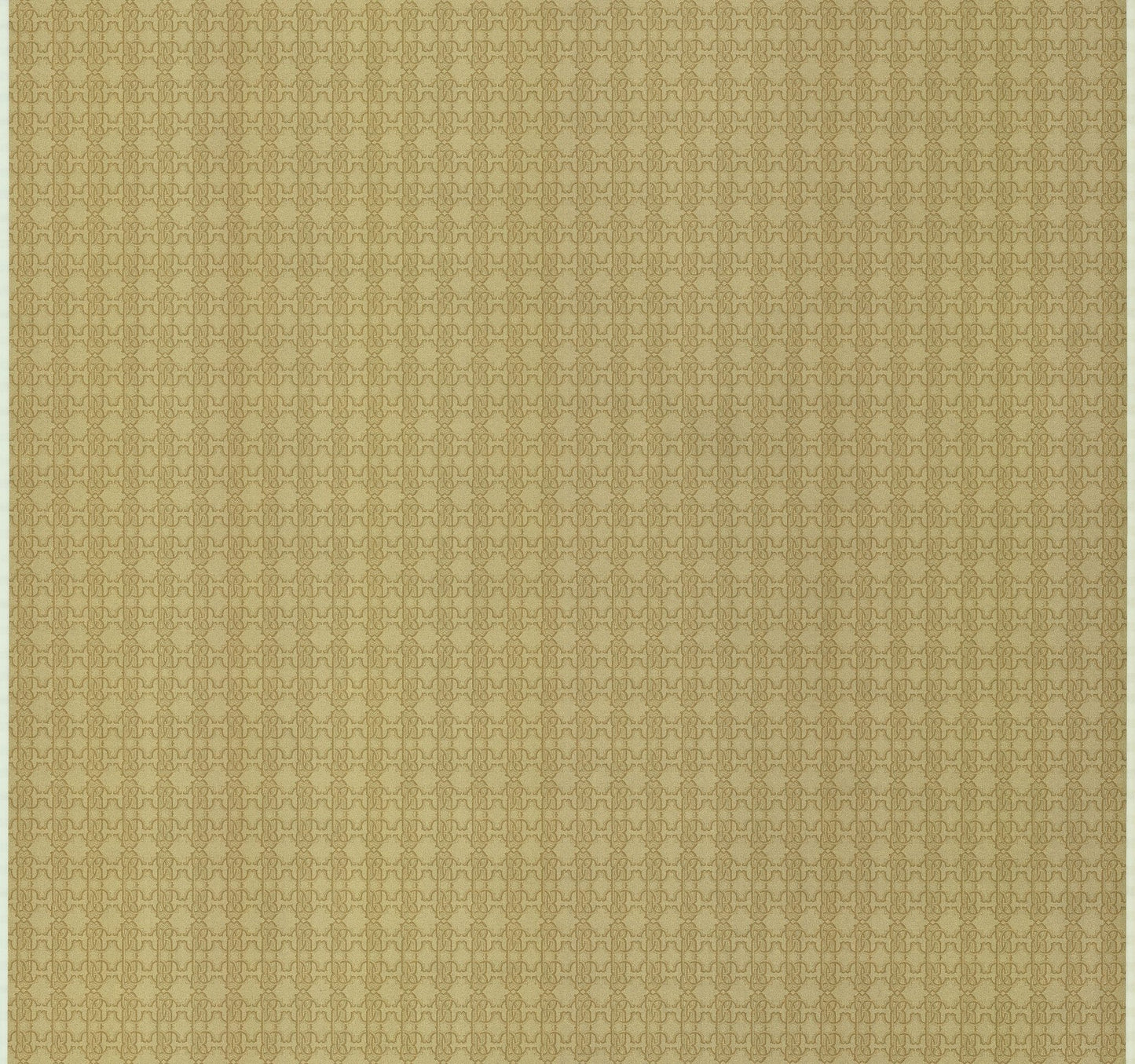 Papel pintado Roberto Cavalli Cod. RC17116