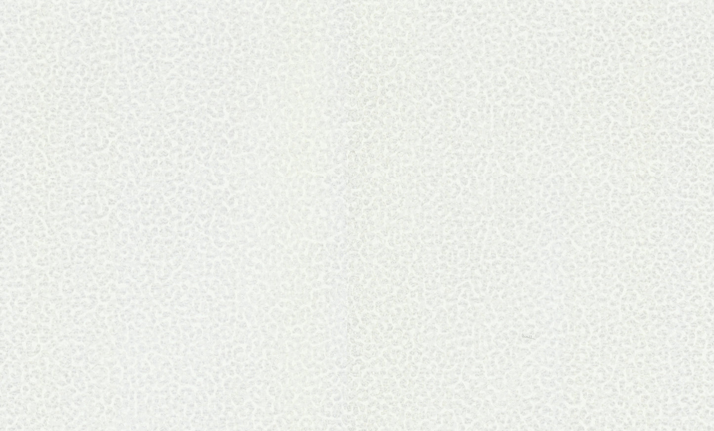 Roberto Cavalli wallpaper collection N.8 - RC19020 - 10 m² roll