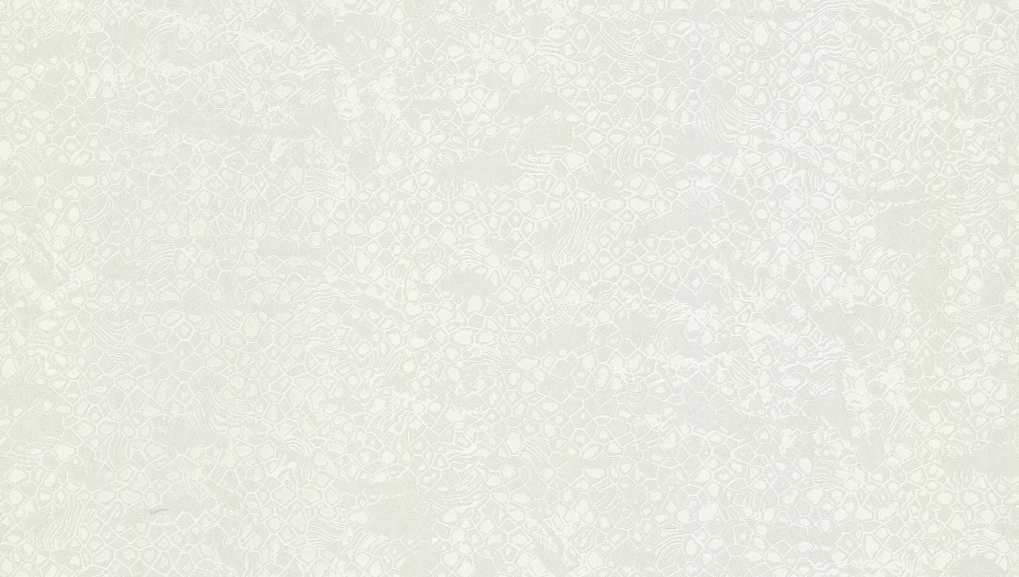 Roberto Cavalli wallpaper collection N.8 - RC19039 - 10 m² roll