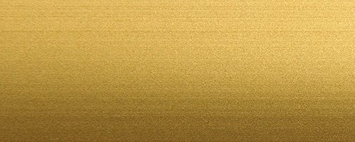 Protrans Floor Connecting End Profiles - Gold