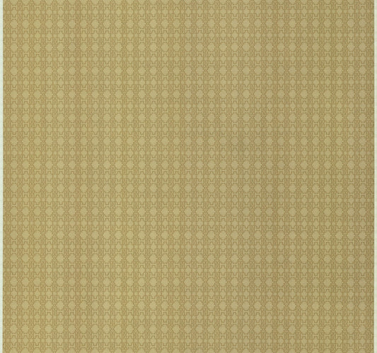 ROBERTO CAVALLI WALLPAPER Cod. RC17116