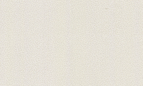 Roberto Cavalli wallpaper collection N.8 - RC19016 - 10 m² roll