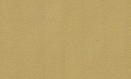 Roberto Cavalli wallpaper collection N.8 - RC19017 - 10 m² roll