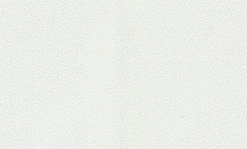 Roberto Cavalli wallpaper collection N.8 - RC19020 - 10 m² roll