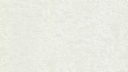 Roberto Cavalli wallpaper collection N.8 - RC19039 - 10 m² roll