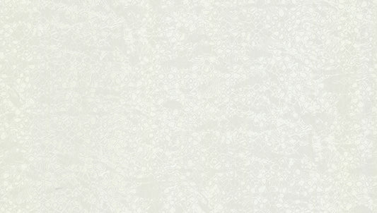 Colección de papel pintado Roberto Cavalli N.º 8 - RC19039 - Rollo de 10 m²