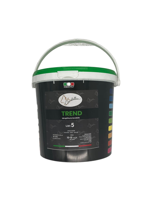 Trend Water-repellent washable paint for interiors and exteriors 