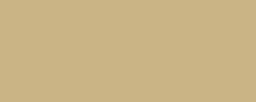 Projolly - 2.7 m rounded profile in non-toxic, shock-resistant vinyl resin - Progress - Beige Bahama