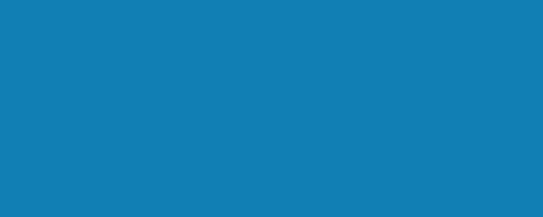 Projolly - 2.7 m rounded profile in non-toxic shockproof vinyl resin Progress - Blue