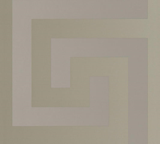 Colección de papel pintado Versace 5 Código 38609-2 rollo de 7 m²