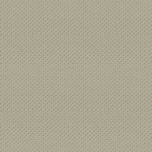Armani Home wallpaper, Refined Structure collection, no. 1, code 9244, 7m2 roll