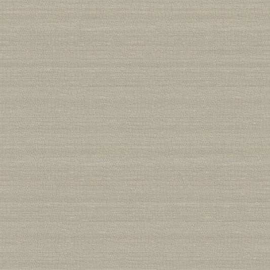 Carta da parati Armani Home collezione Refined Structure n.1 cod. 9251 rotolo 7mq