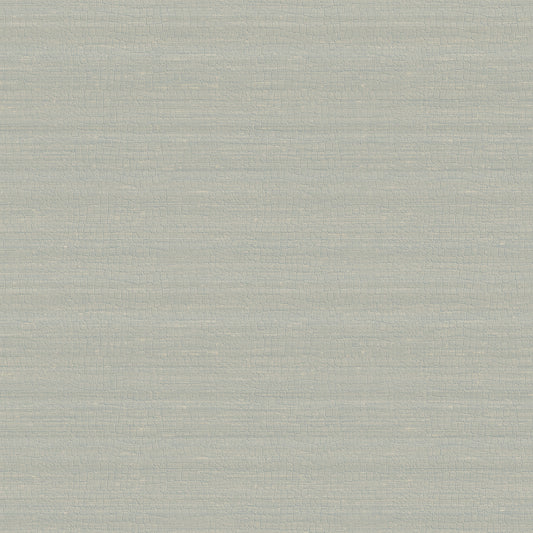 Carta da parati Armani Home collezione Refined Structure n.1 cod. 9252 rotolo 7mq