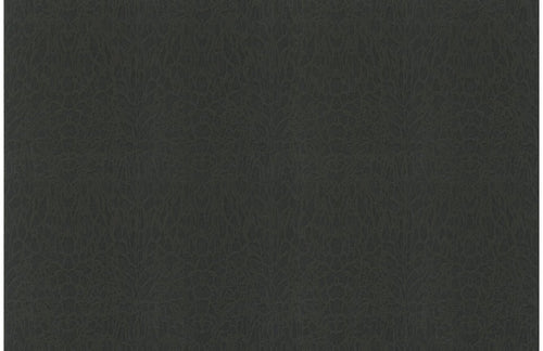 Roberto Cavalli wallpaper collection no. 7 RC18062 - 10 m² roll