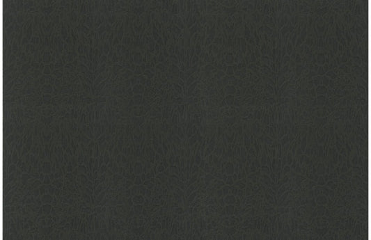 Roberto Cavalli wallpaper collection no. 7 RC18062 - 10 m² roll