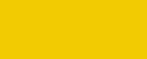 Projolly - 2.7 m rounded profile in non-toxic shock-resistant vinyl resin Progress - Yellow