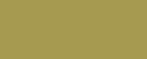 Projolly - 2.7 m Progress anodized aluminum rounded profile - Gold